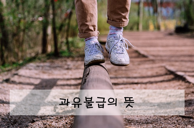 과유불급의 뜻