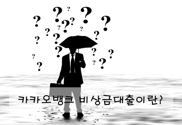 카카오뱅크 비상금대출이란?