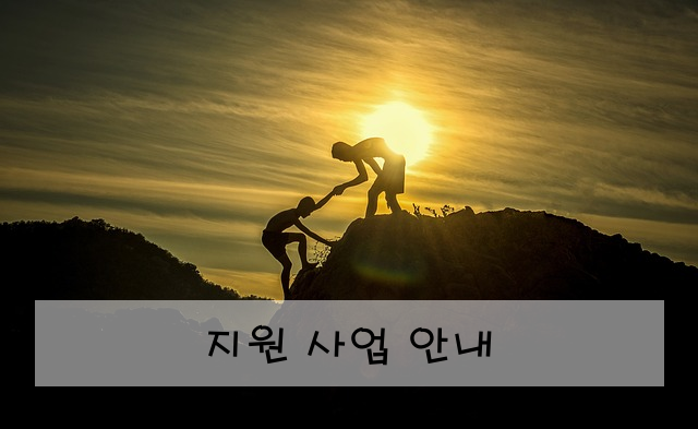 지원 사업 안내