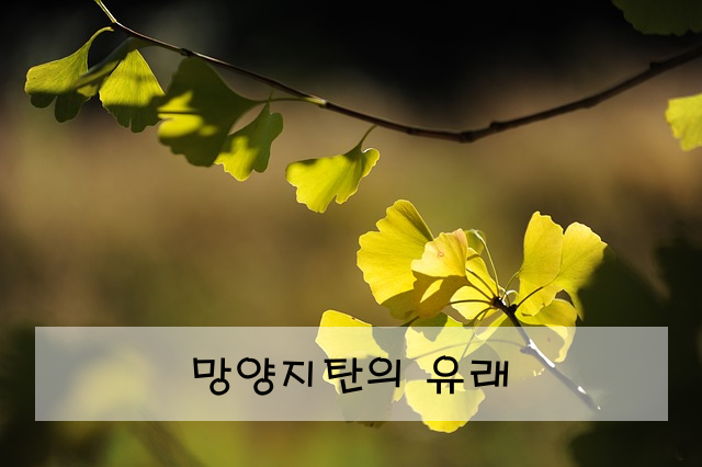 망양지탄의 유래