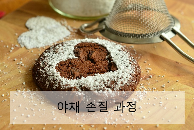 야채 손질 과정