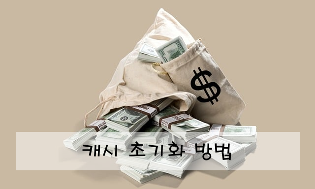 캐시 초기화 방법