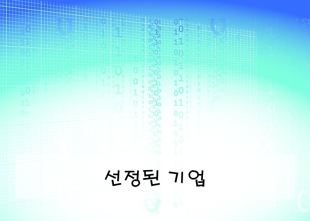 선정된 기업