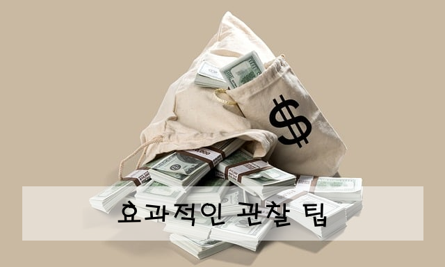 효과적인 관찰 팁