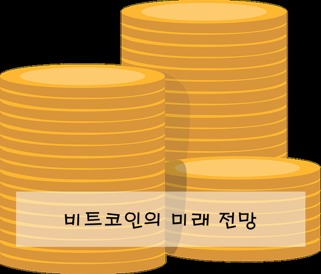 비트코인의 미래 전망