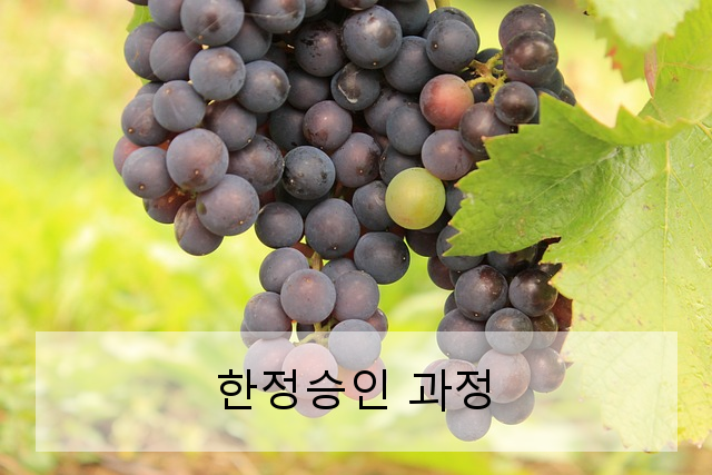 한정승인 과정