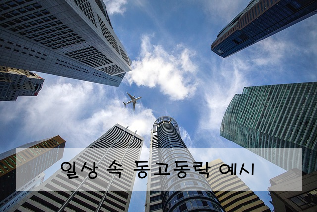 일상 속 동고동락 예시