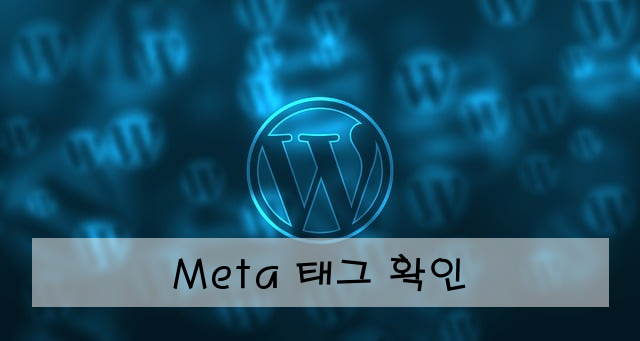 Meta 태그 확인