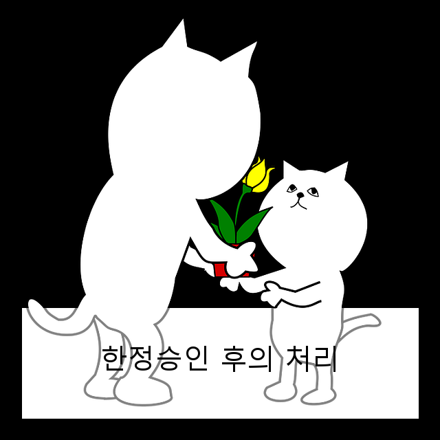 한정승인 후의 처리