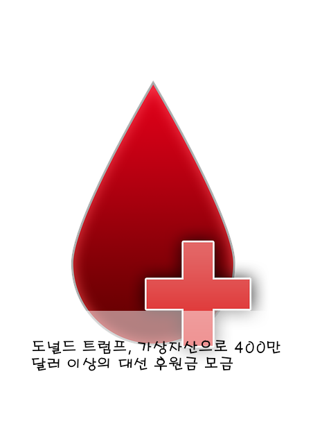 도널드 트럼프, 가상자산으로 400만 달러 이상의 대선 후원금 모금