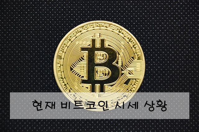 현재 비트코인 시세 상황