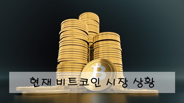 현재 비트코인 시장 상황