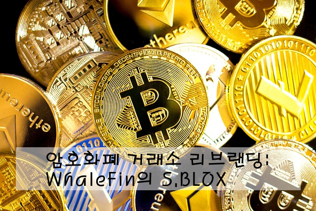 암호화폐 거래소 WhaleFin의 리브랜딩: S.BLOX