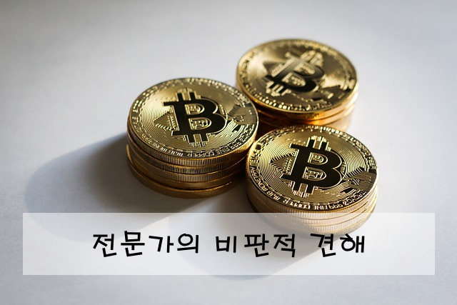 전문가의 비판적 견해