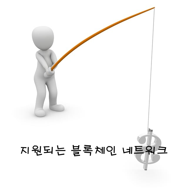 지원되는 블록체인 네트워크