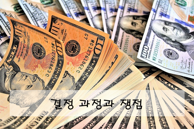 결정 과정과 쟁점