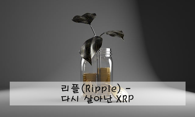 리플(Ripple) - 다시 살아난 XRP