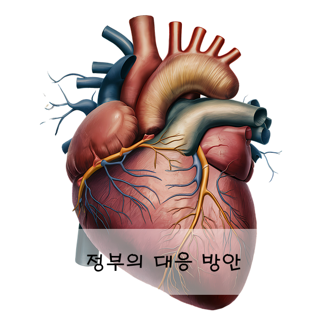 정부의 대응 방안