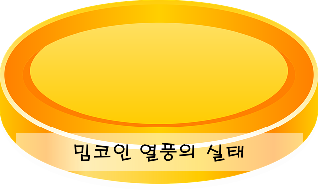 밈코인 열풍의 실태