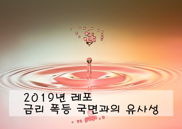 2019년 레포 금리 폭등 국면과의 유사성
