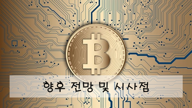 향후 전망 및 시사점