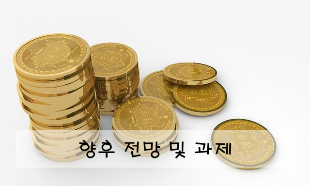 향후 전망 및 과제