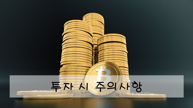 투자 시 주의사항