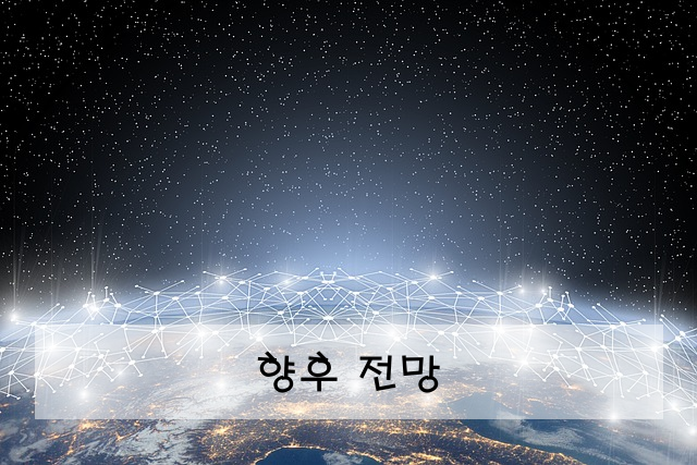 향후 전망