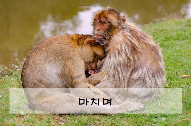 마치며