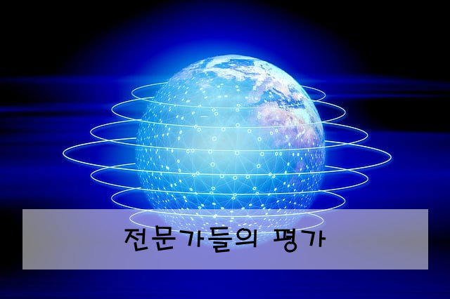 전문가들의 평가