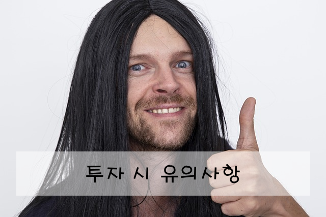 투자 시 유의사항