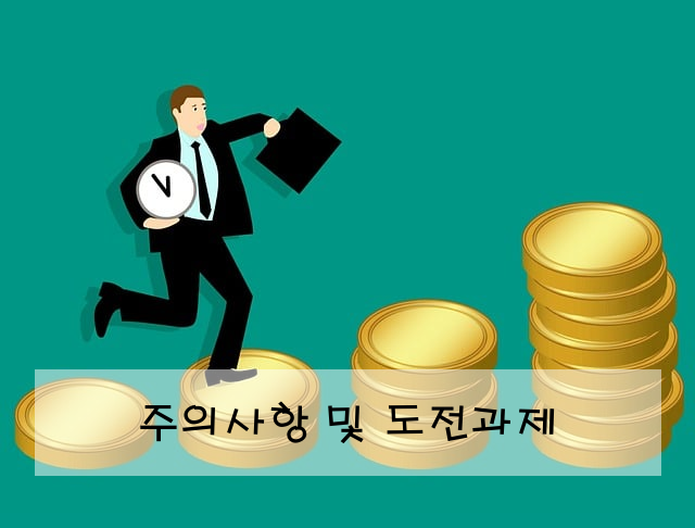 주의사항 및 도전과제