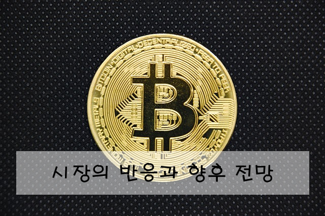 시장의 반응과 향후 전망