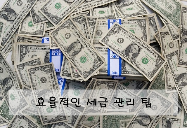 효율적인 세금 관리 팁