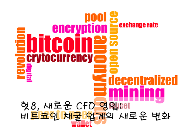 헛8, 새로운 CFO 영입: 비트코인 채굴 업계의 새로운 변화