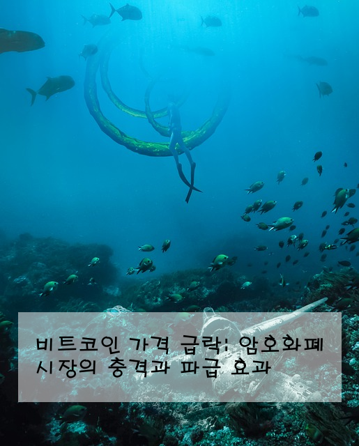 비트코인 가격 급락: 암호화폐 시장의 충격과 파급 효과