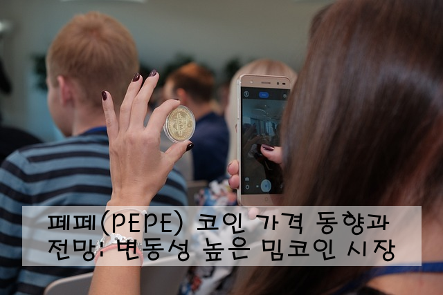 페페(PEPE) 코인 가격 동향과 전망: 변동성 높은 밈코인 시장