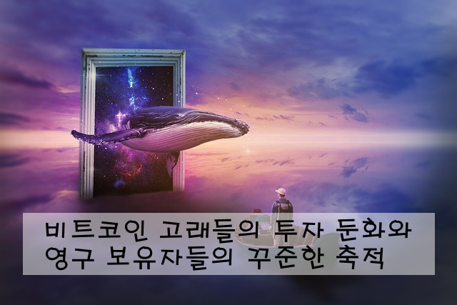 비트코인 고래들의 투자 둔화와 영구 보유자들의 꾸준한 축적
