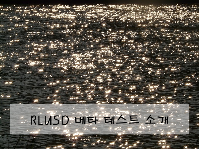 RLUSD 베타 테스트 소개