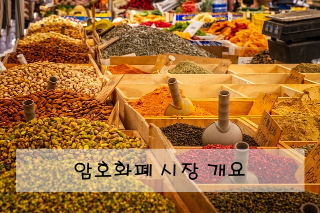 암호화폐 시장 개요