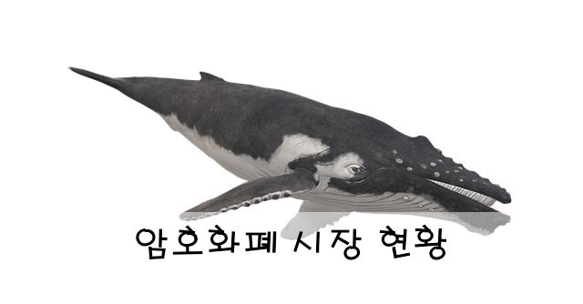 암호화폐 시장 현황