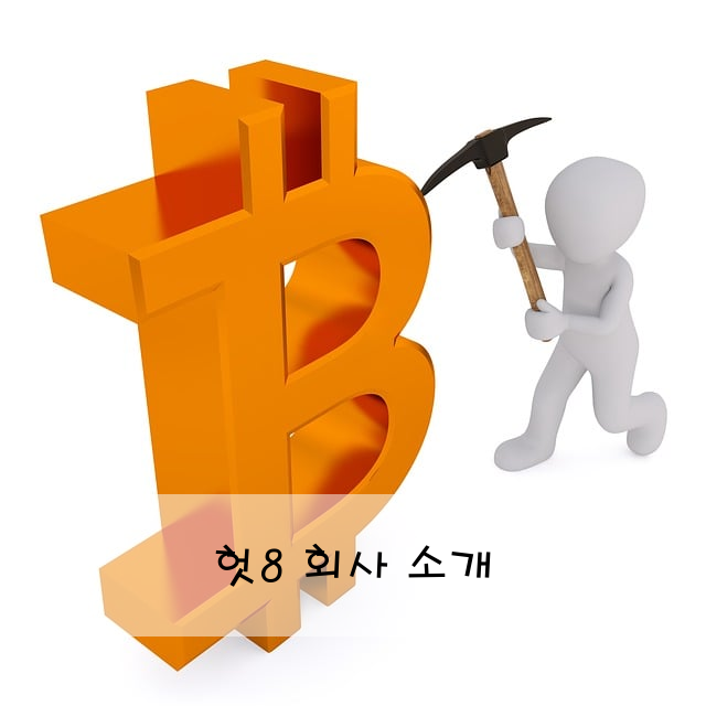 헛8 회사 소개