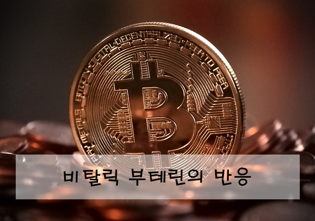 비탈릭 부테린의 반응