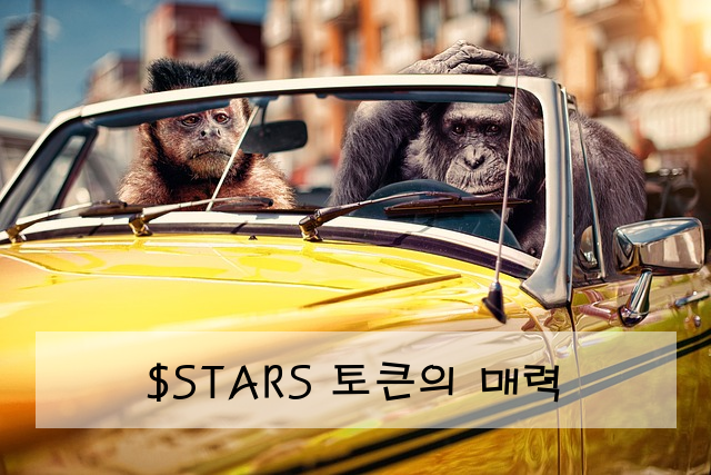 $STARS 토큰의 매력