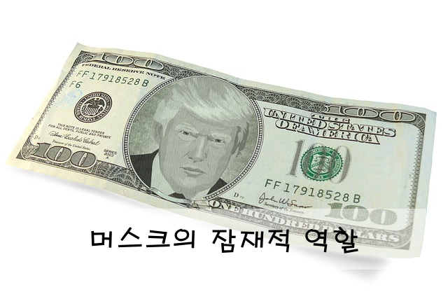 머스크의 잠재적 역할