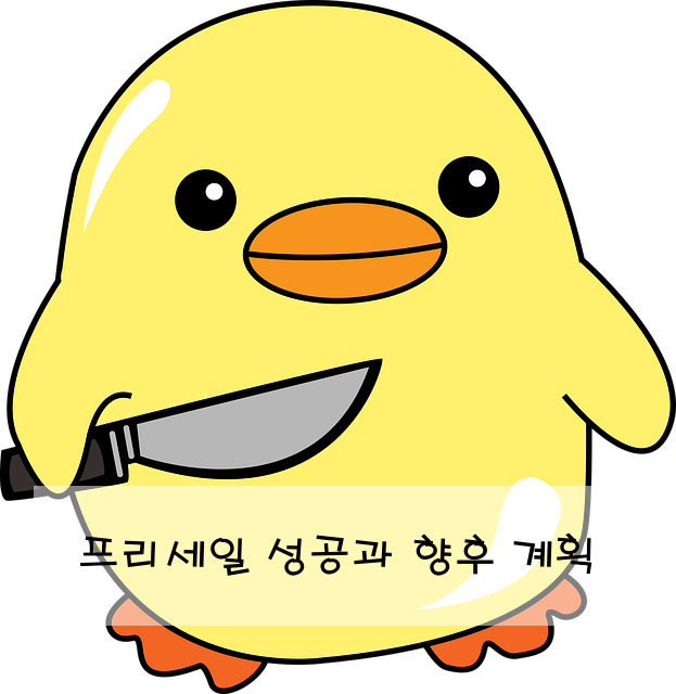 프리세일 성공과 향후 계획