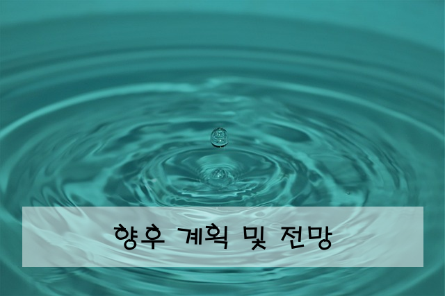 향후 계획 및 전망