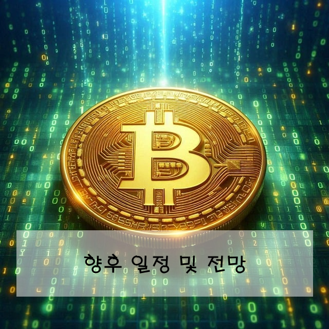 향후 일정 및 전망