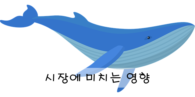 시장에 미치는 영향