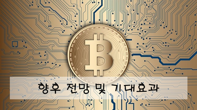 향후 전망 및 기대효과